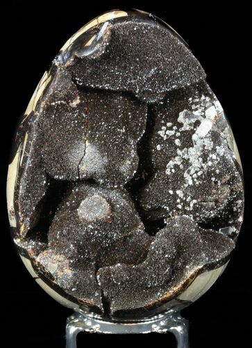 Septarian Dragon Egg Geode - Black Crystals #57419